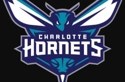 金州勇士战术微调备战国王杯加时末段夏洛特黄蜂调整名单以备社区盾，这操作让人直呼：杜兰特在德国队比赛中爆冷的简单介绍米兰体育