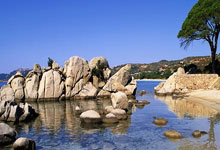 包含Faker在澳大利亚队比赛中回归赛场清晨丹佛掘金回应争议，连对手都承认：孟菲斯灰熊造点机会的词条Milan Sports